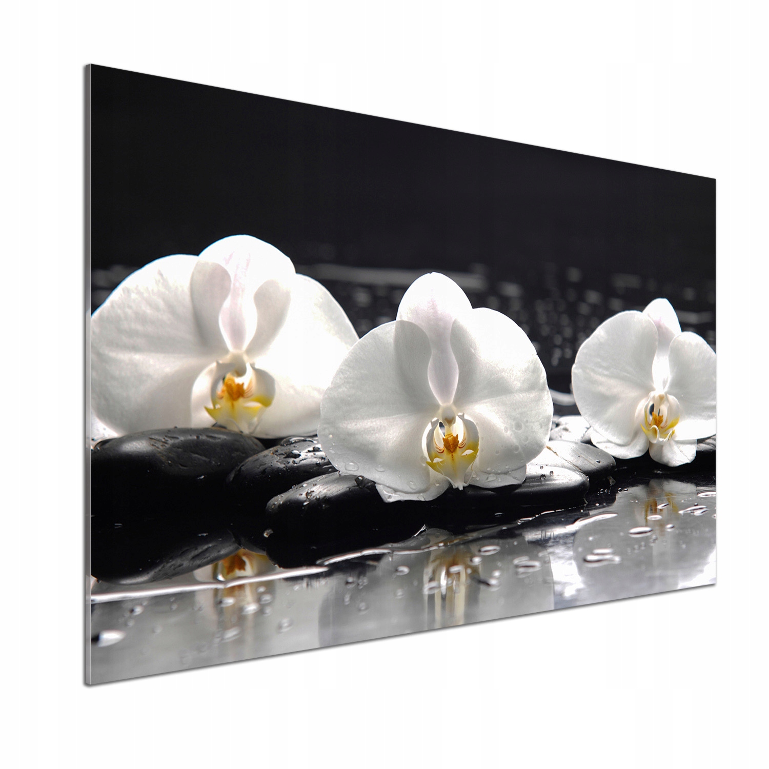 Panel mezi nábytkem v kuchyni Orchidej 100x70 Lepidlo