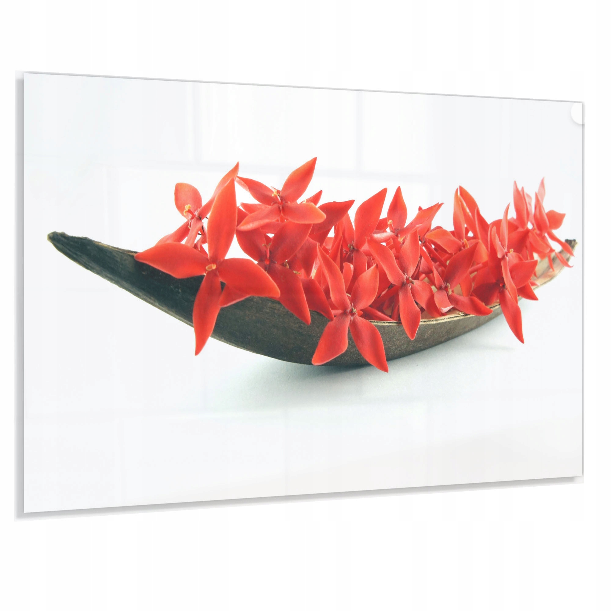 Tvrdený Panel 100x50 cm 4 mm Dekoratívny Ochranný Lacobel Do Kuchyne