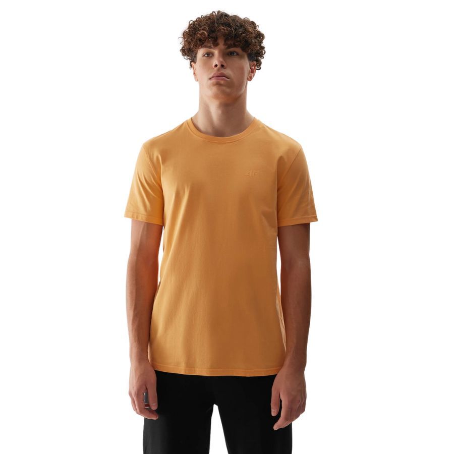 KOSZULKA MĘSKA 4F T-SHIRT PODKOSZULEK BLUZKA SPORTOWA NA CO DZIEŃ Marka 4F