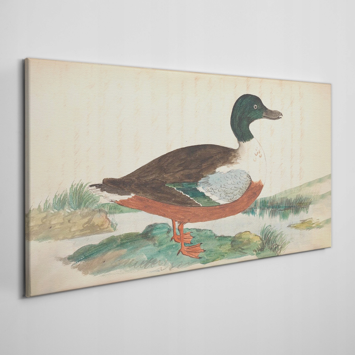 

Ścienny fotoobraz na płótnie Ptak rysunek 120x60