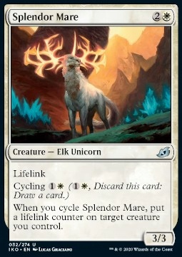 

Splendor Mare Iko Gratisy Pjotrekkk