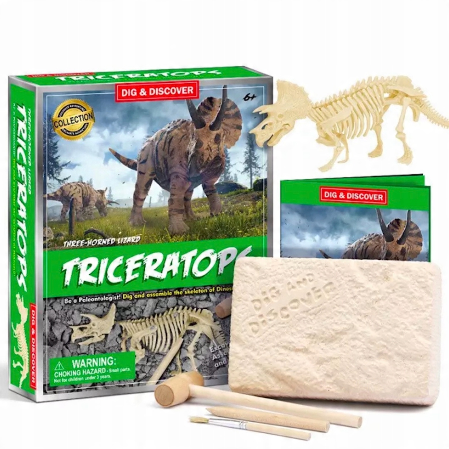 

Triceratops Dinozaur Wykopalisko Młody Paleontolog