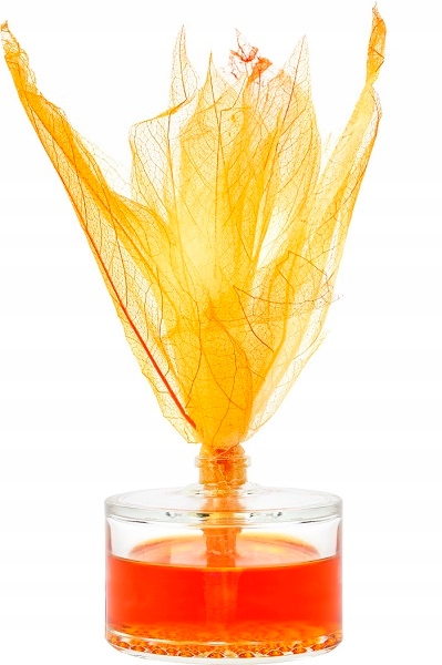 Odświeżacz Powietrza Dyfuzor Zapachowy Patyczki Bispol Valpe Frezja 50 ml Kod producenta dz50l-362