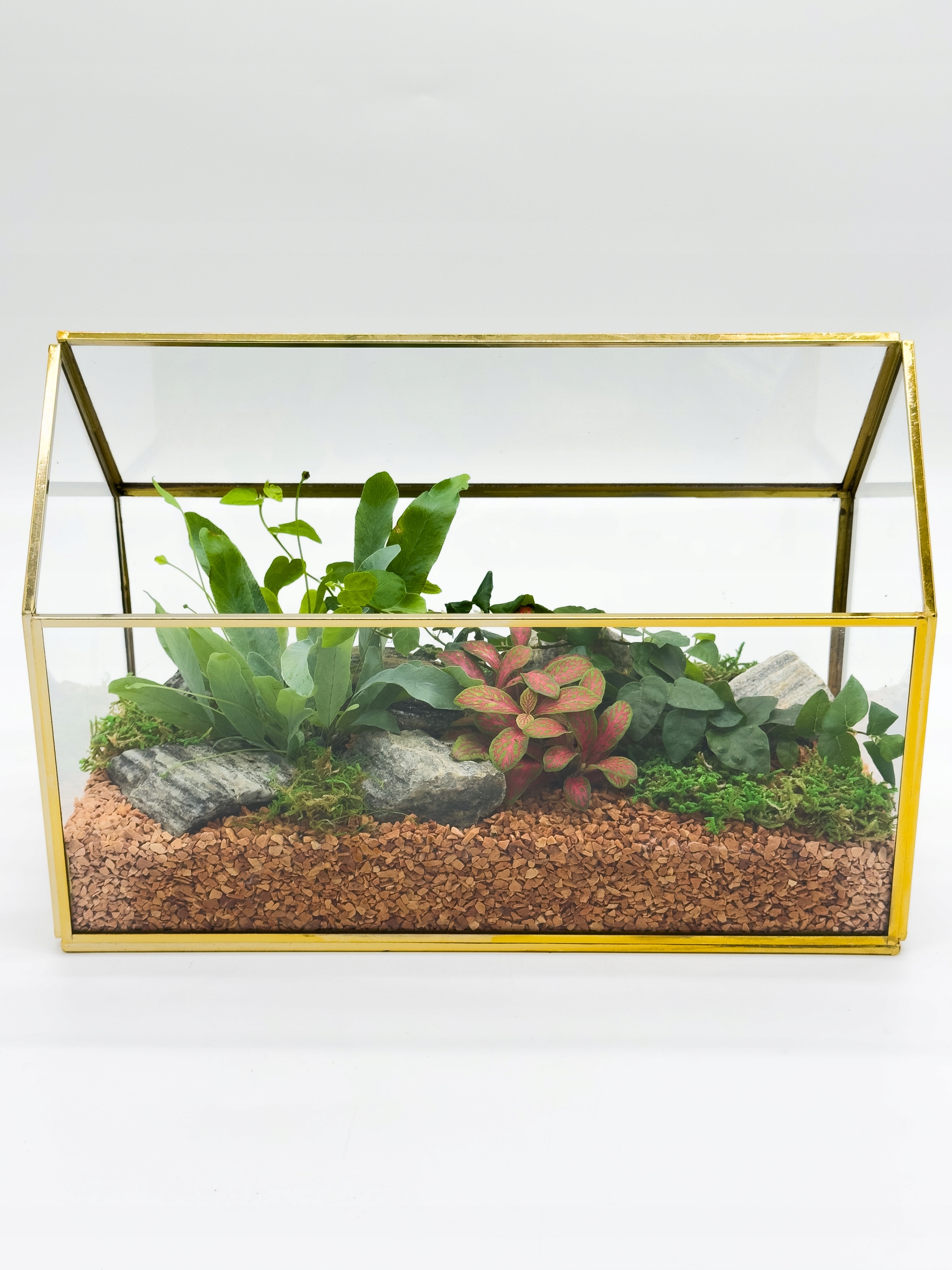 Les ve skle – Hotová kompozice ve zlatém skleníku 29,5x14x20 cm XXL