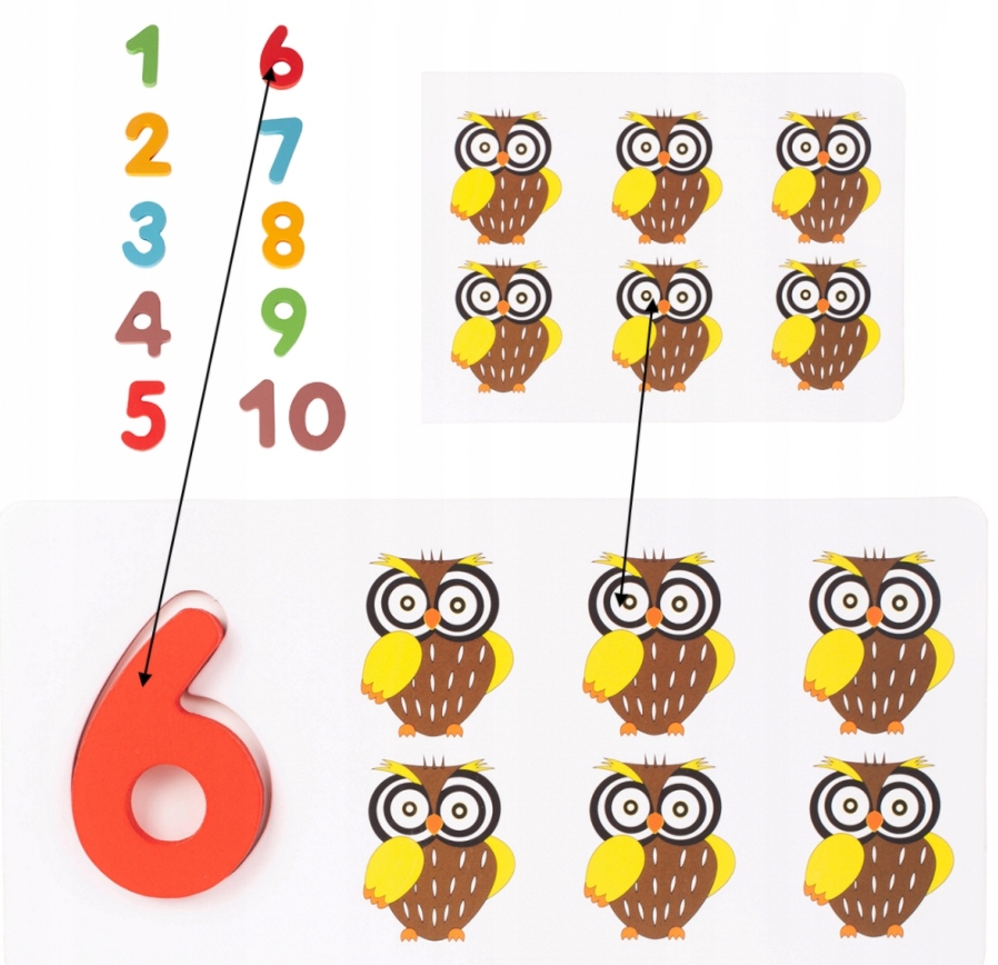 KARTY OBRAZKOWE CYFRY ZESTAW DO NAUKI DODAWANIA LICZENIA DLA PRZEDSZKOLAKA Płeć chłopcy dziewczynki
