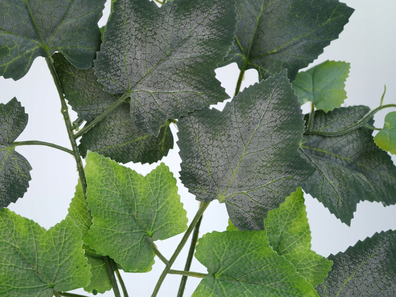 OZDOBNE LIŚCIE WINOGRON MATOWE LISTKI WINOROŚL PIĘKNE LIŚCIE NATURAL 48 cm Kolor fioletowy