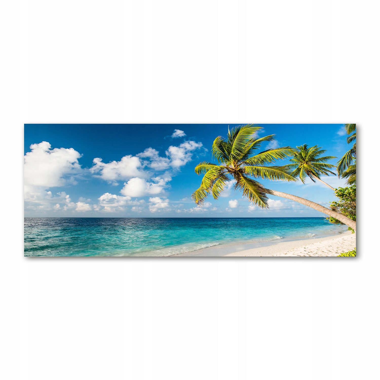 

Foto obraz akryl zdjęcie Malediwy plaża 125x50 cm