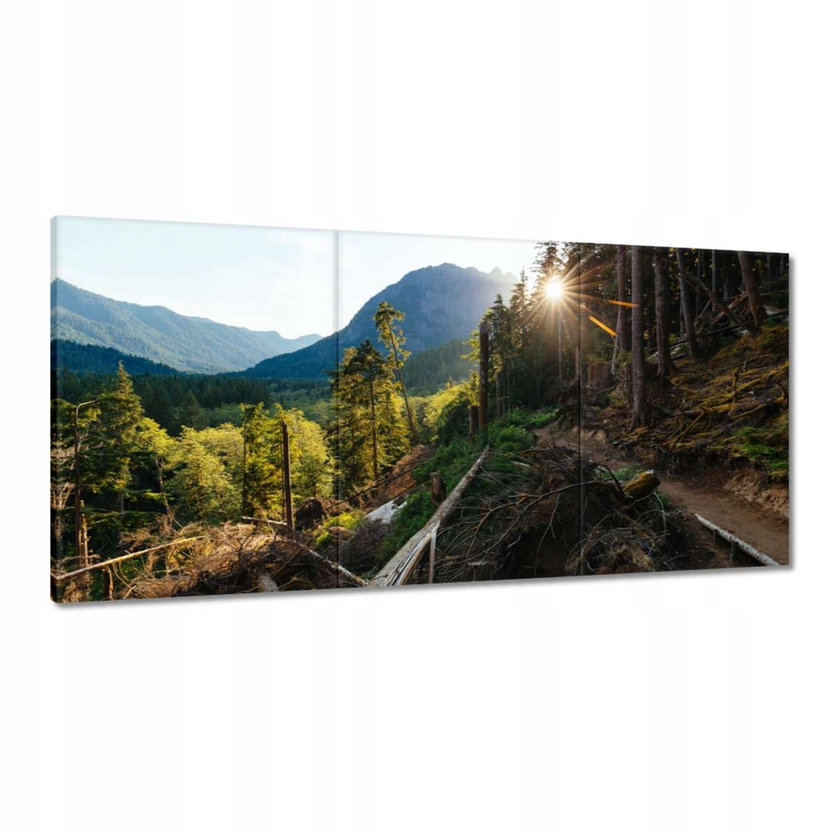 Obrazy 180x90 Hory Slnka Les Cesta