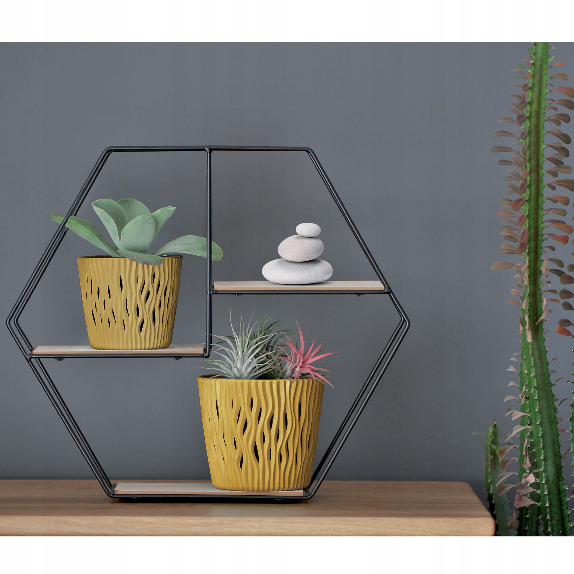 DONICZKA Z WKŁADEM OSŁONKA SANDY ROUND 12,8 cm Marka Prosperplast