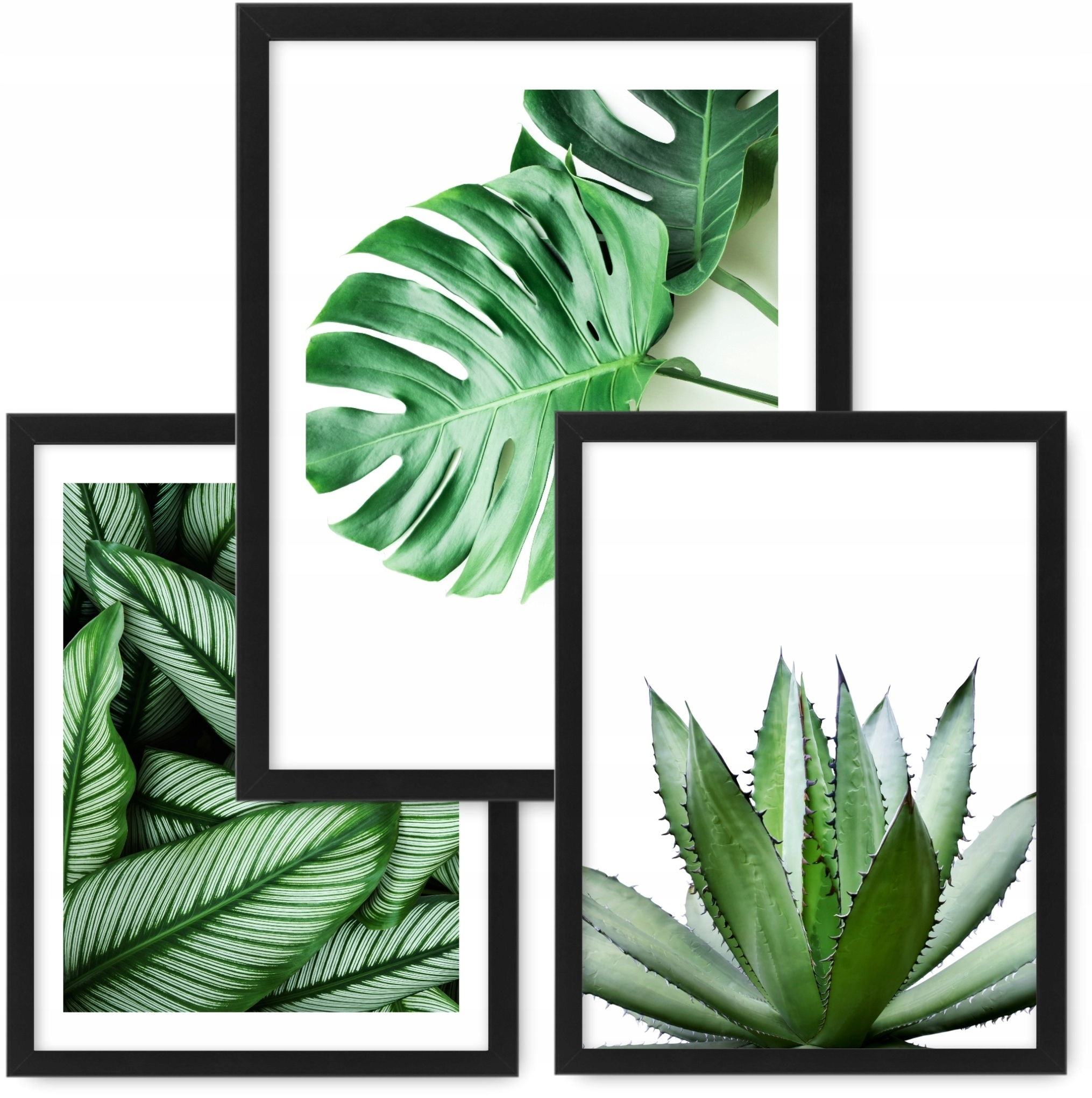 Sada 3 obrázků A3, plakáty, Monstera rámeček ikea #58