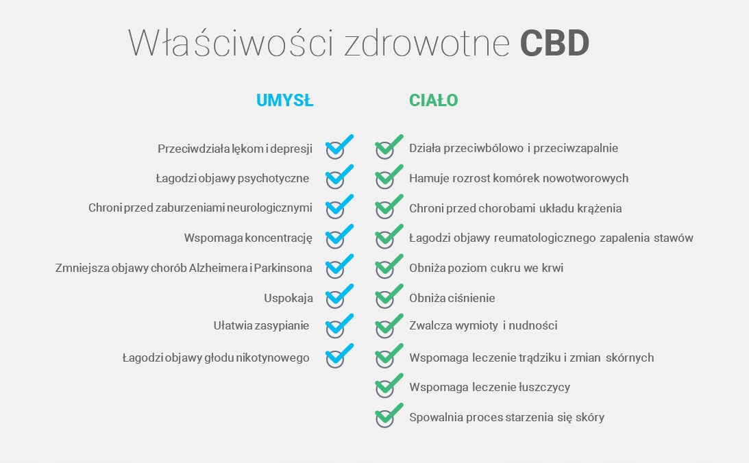 OLEJ KONOPNY CBD 5% 500mg FULL SPECTRUM+MCT 10ml Zawartość CBD 5%