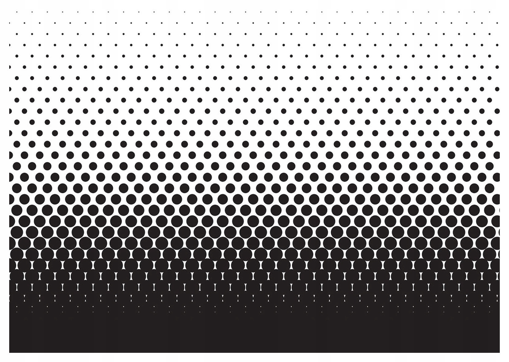 Fototapeta flizelina Gradient teček černobílý minimalismus 250x175 lepidlo