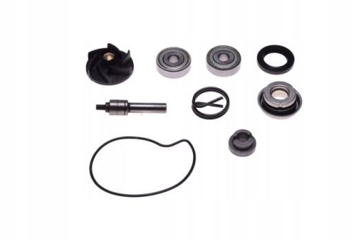 AY57227 - КОМПЛЕКТ ДЛЯ РЕМОНТА ВОДЯНОГО НАСОСА PIAGGIO BEVERLY MP3