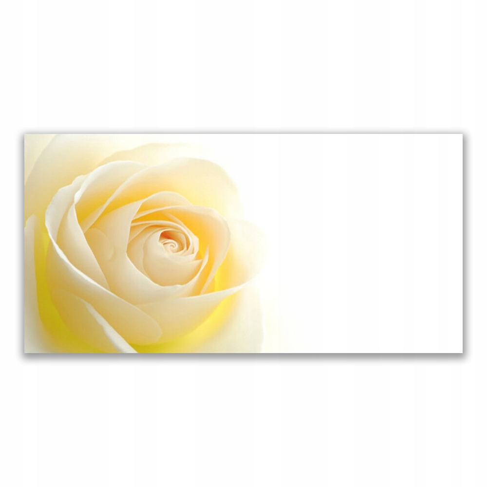 

Fotoobraz 120x60 Róża Kwiat Roślina Natura 120x60