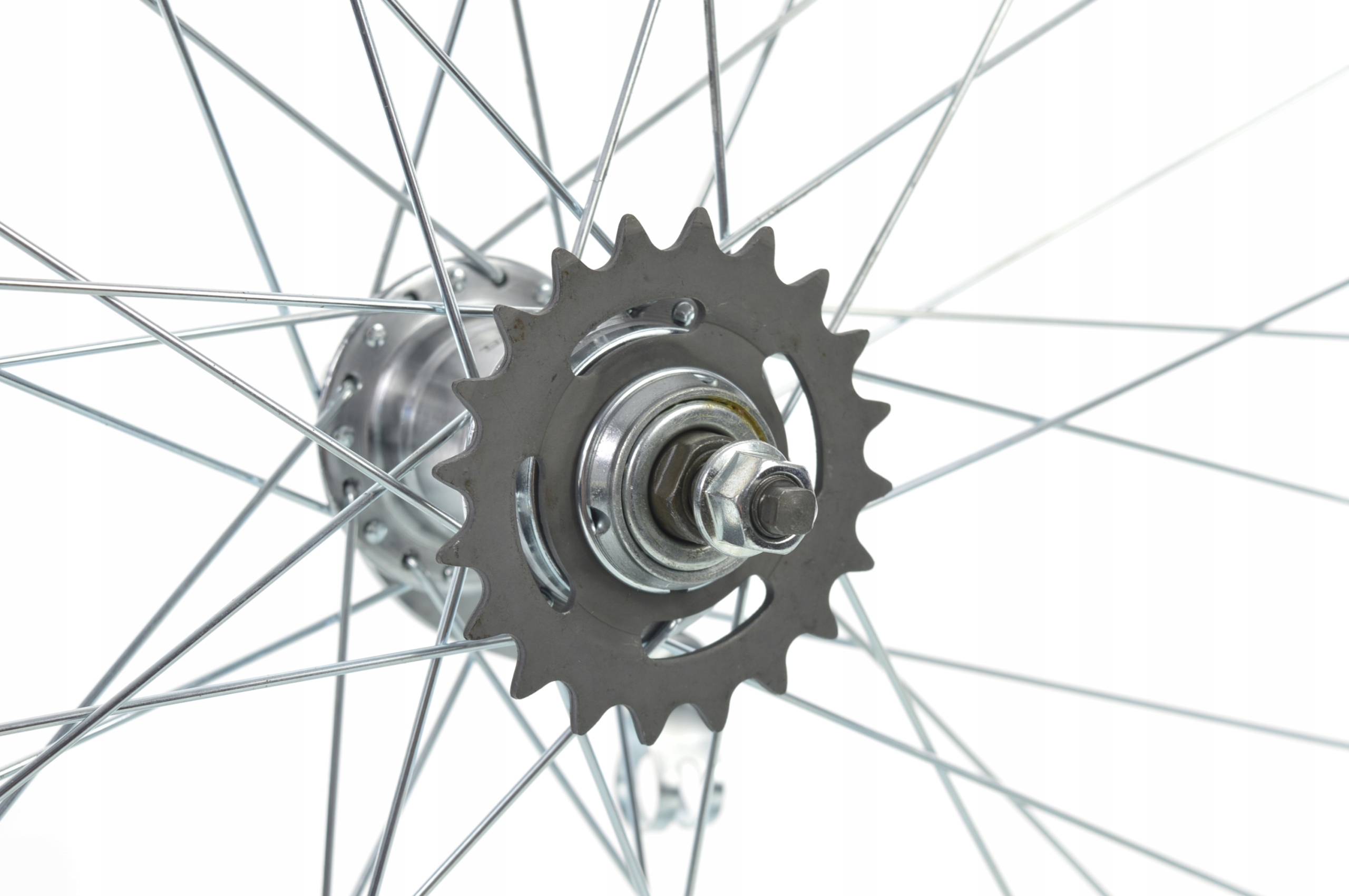 KOŁO ROWEROWE 24 TYŁ TORPEDO PIASTA CZESKA STOŻEK EAN (GTIN) 5905481117610