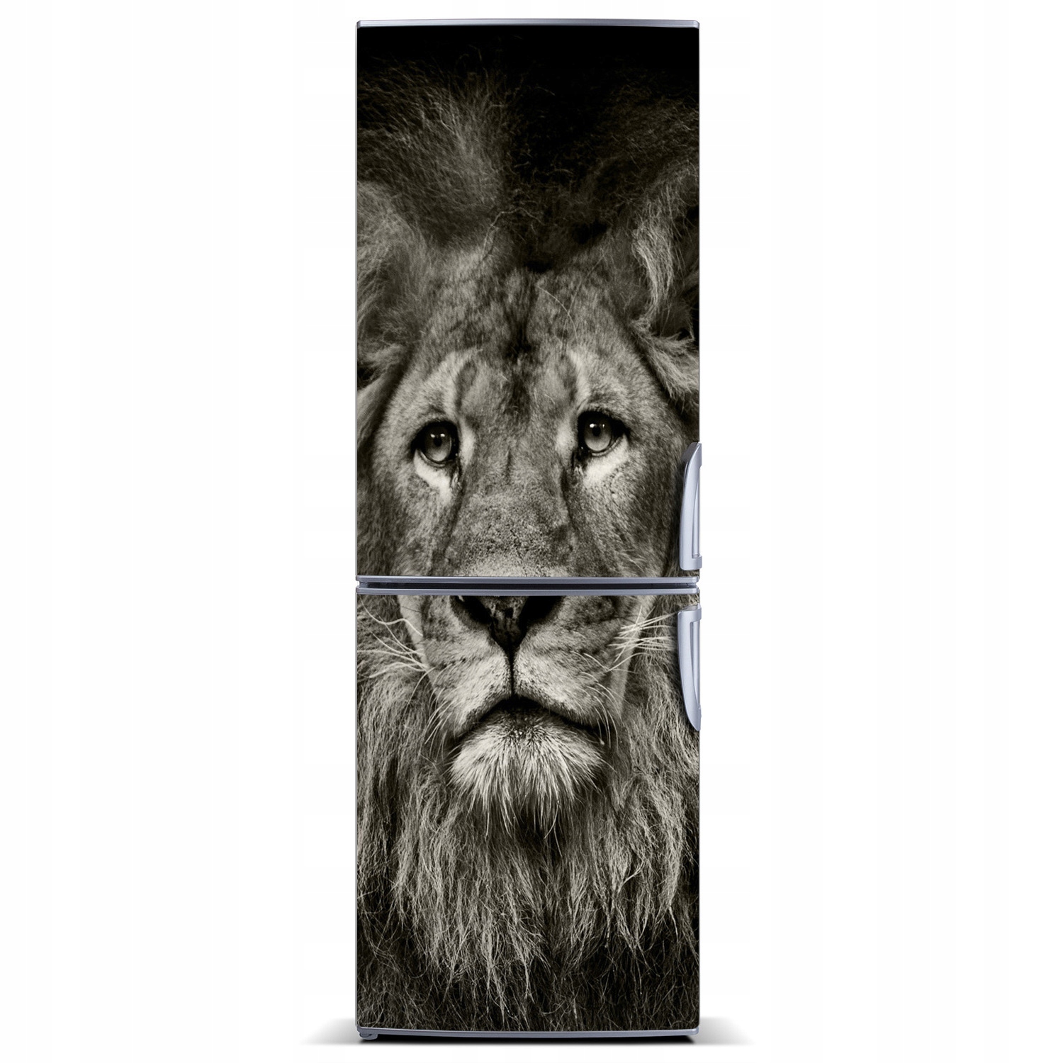 

Naklejka magnetyczna lodówkę ścianę Lew 60x180
