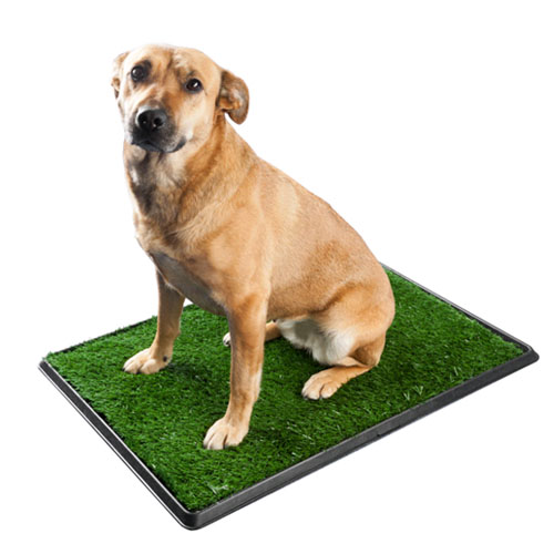 Kuweta duża psia toaleta Wc dla pieska sztuczna trawa z zbiornikiem