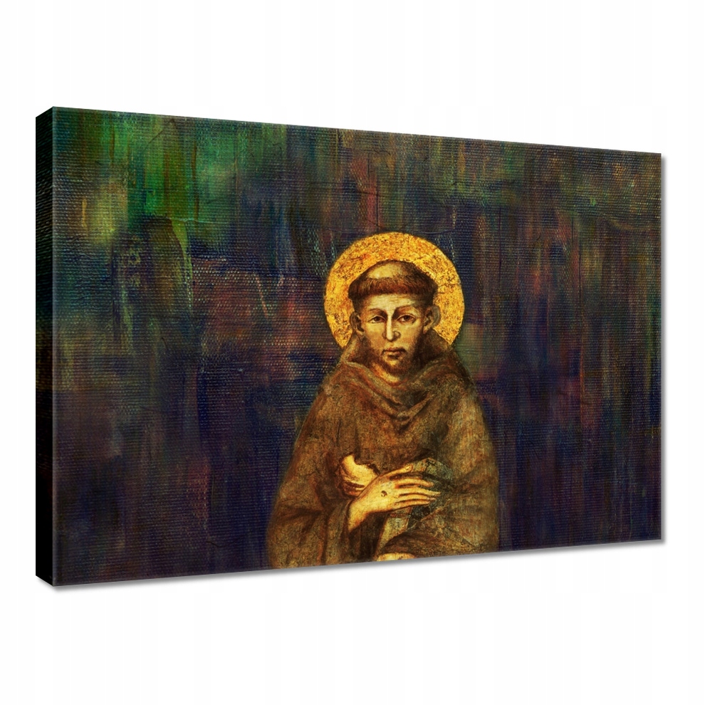 

Obraz 70x50 Patron ekologów