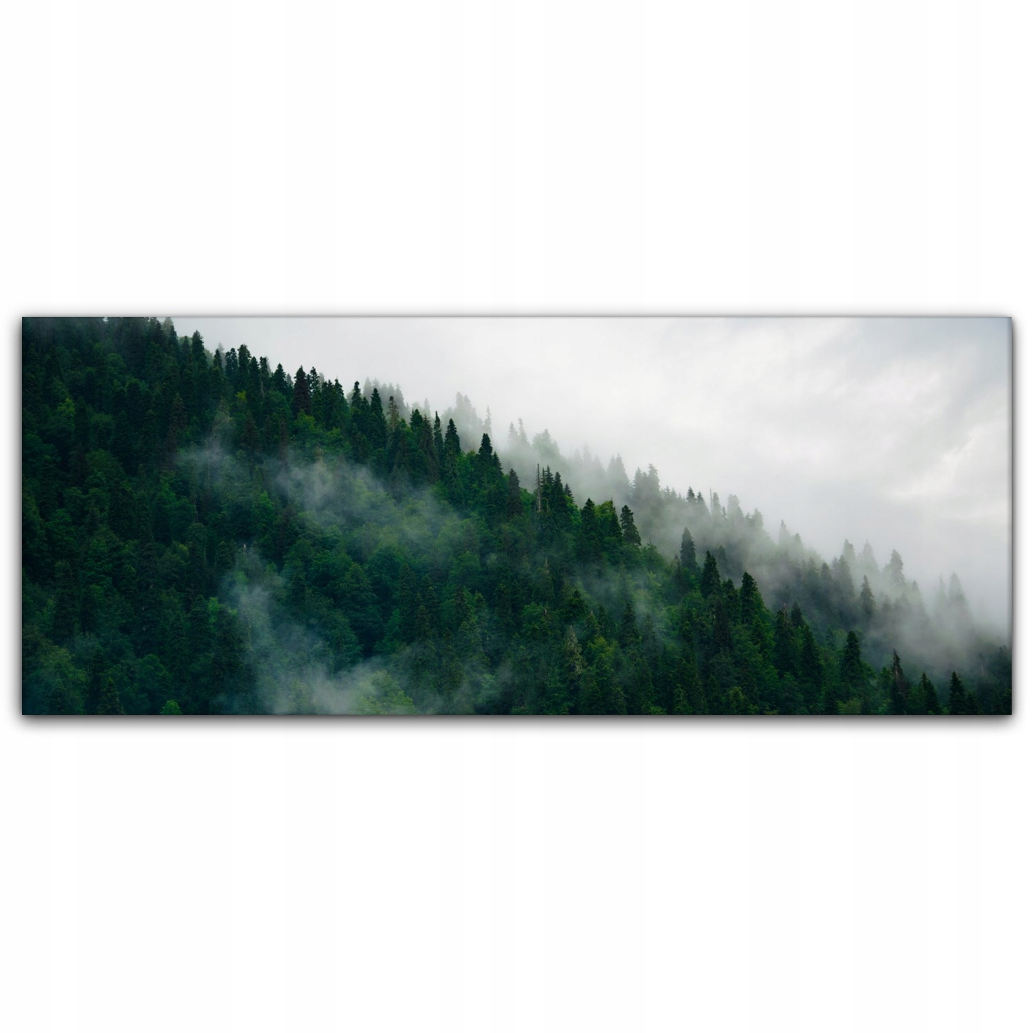 

Obraz Canvas dekoracja 125x50 Mgła Góry Las Drzewa
