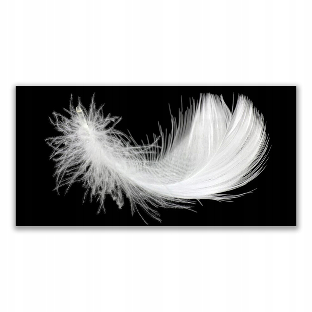 

Fotoobraz na ścianę wiszący 140x70 Piórko Sztuka