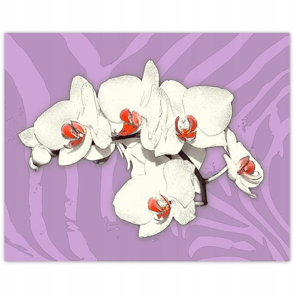 

Plakat 50x40 Storczyk Abstrakcyjne tło