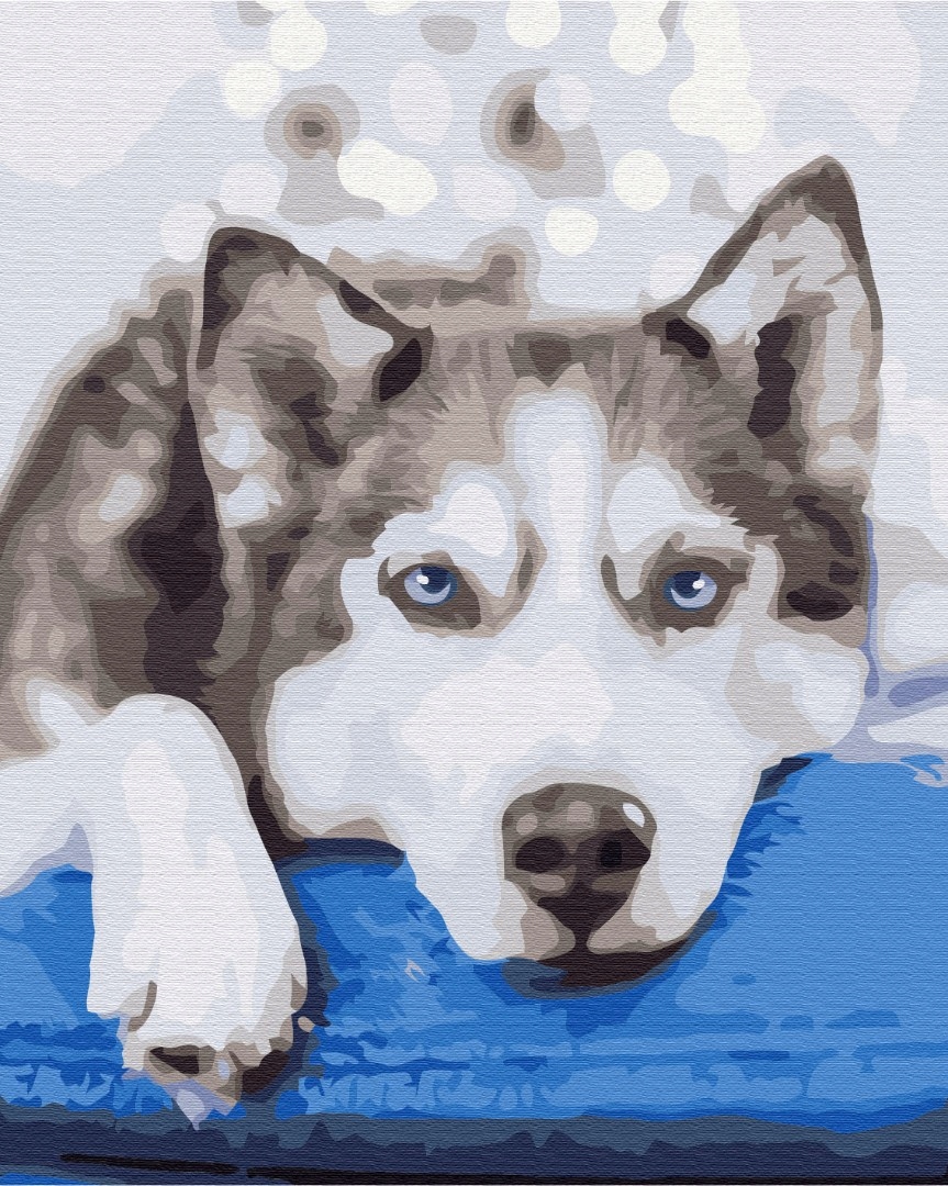 Malování podle čísel Paint it! Čekající 40x50 cm