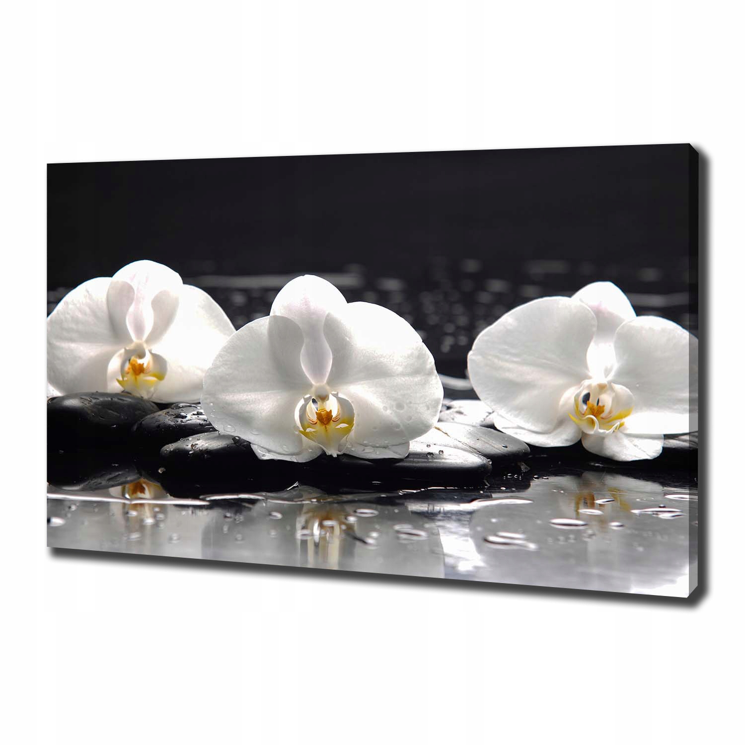 

Foto obraz canvas na ścianę Orchidea 100x70 cm