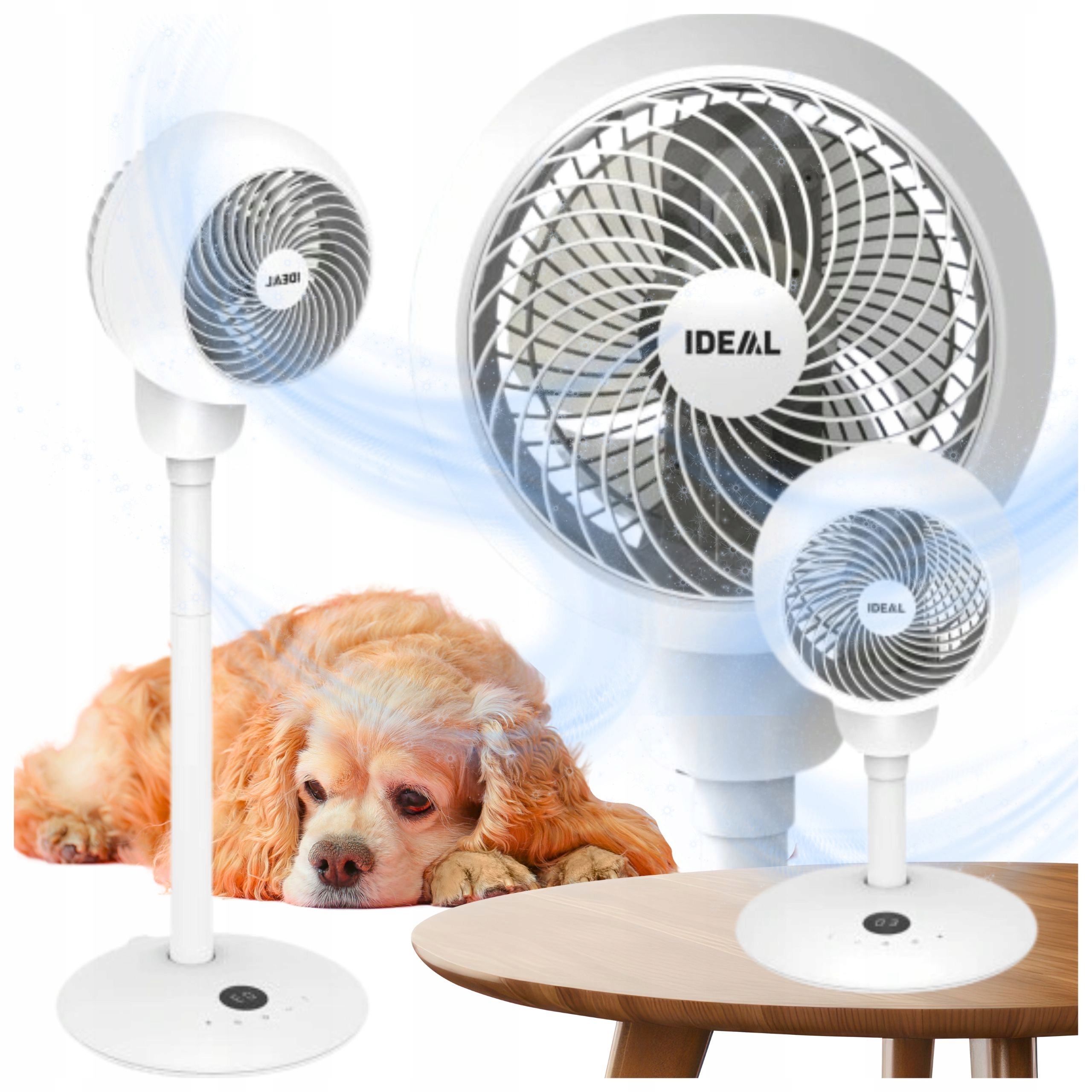 Silný moderní Ventilátor Podlahový stolní ventilátor na dálkové ovládání Ideal 2v1