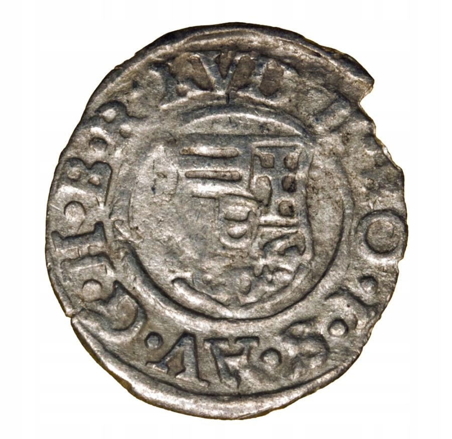 Denar 1590 Rudolf II Habsburg Węgry Kremnica