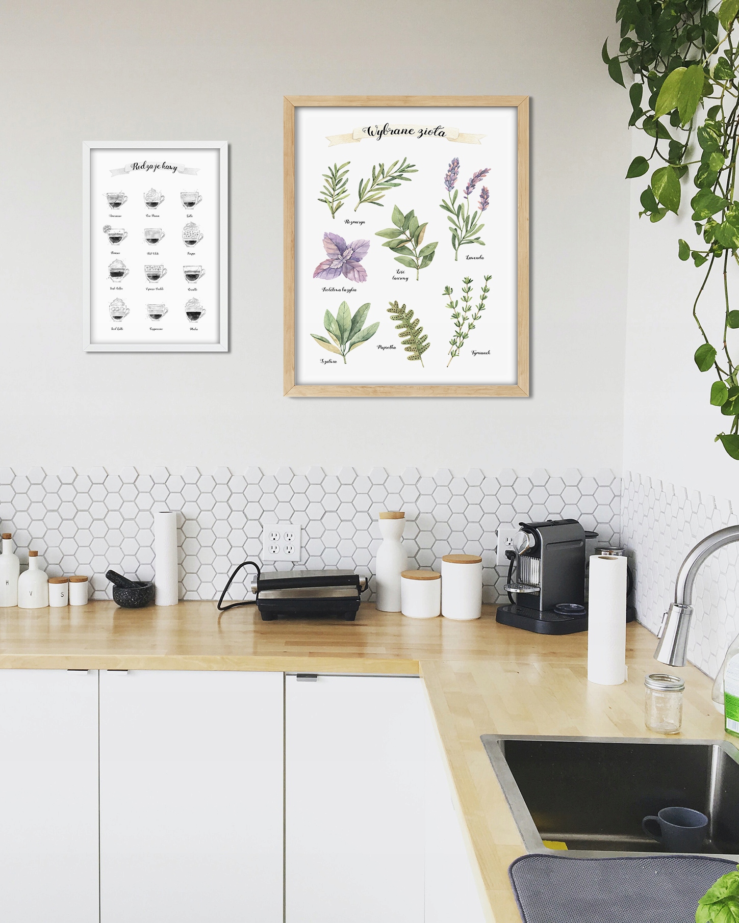 30x40 Plakat kuchenny rodzaje ziół zioła do kuchni Marka inna