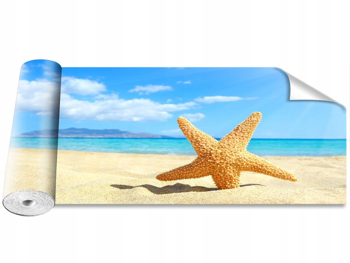 

Fototapeta Samoprzylepna Rozgwiazda Plaża 250x104