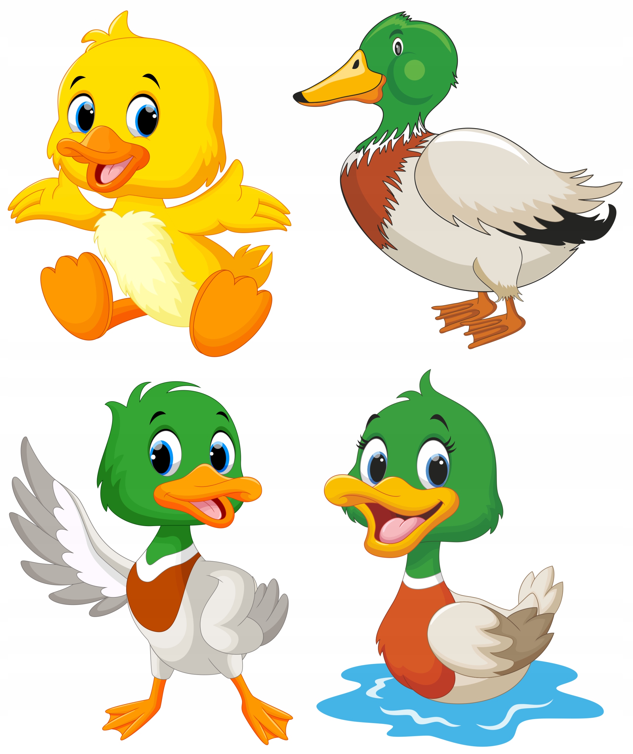 NAKLEJKI NA OKNO LUSTRO SZYBĘ KACZUSZKI KACZKI