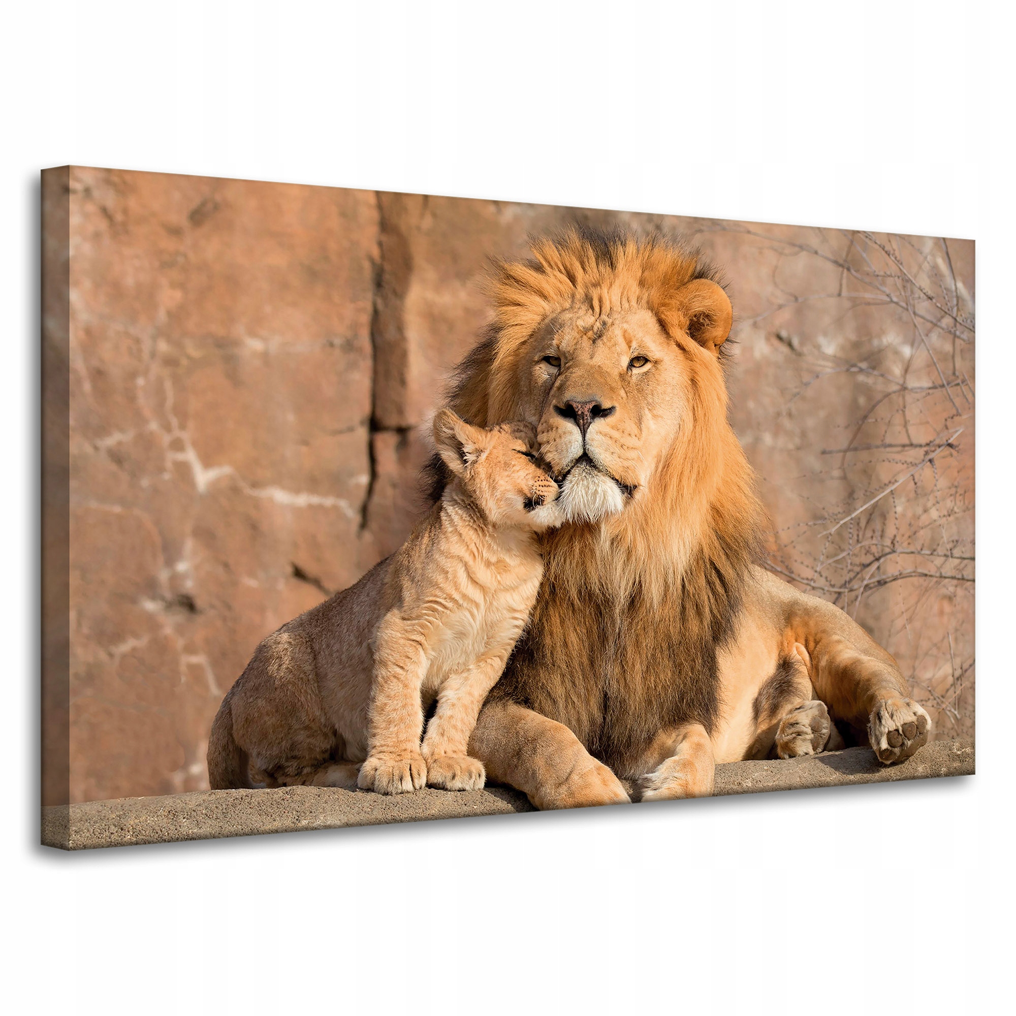 Obraz na plátně Lev a Lvíček Příroda Skály Světlo 100x60 cm