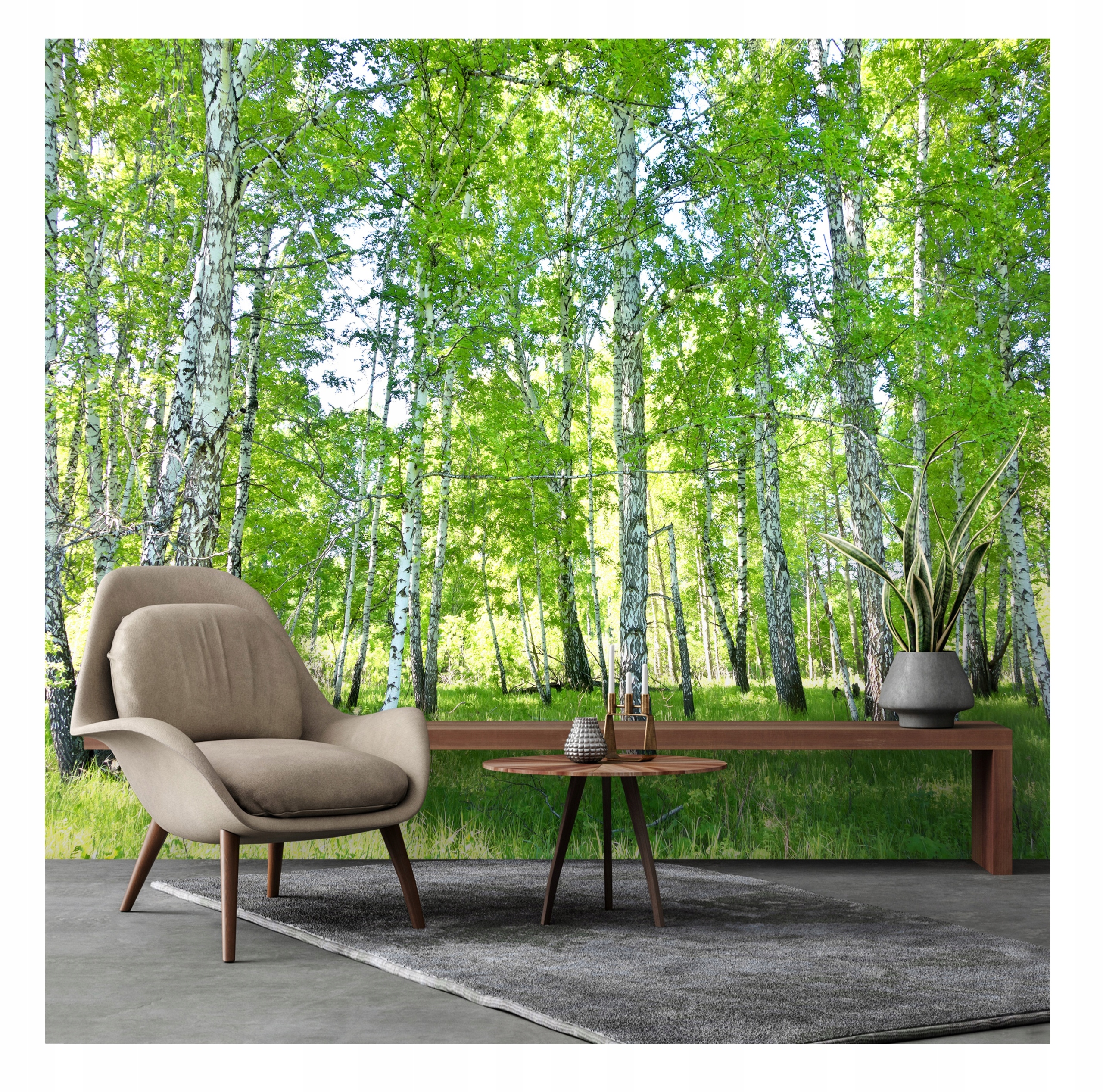 Fototapeta Březový Les 3D do ložnice 350x245