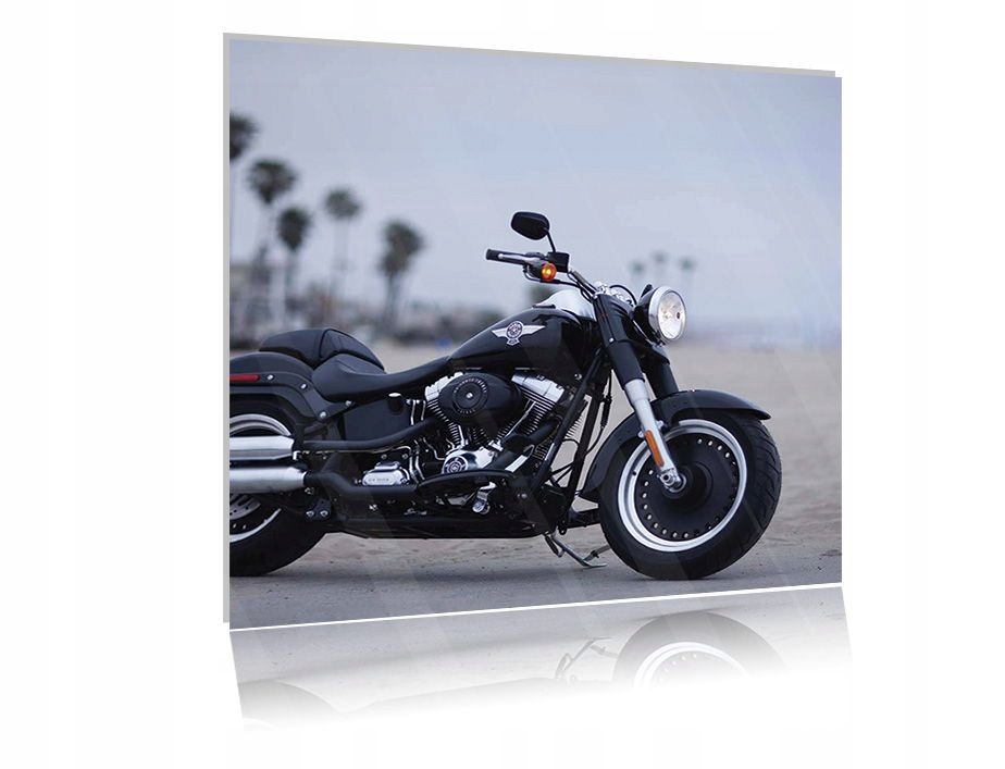 

Obraz szklany na szkle Harley Davidson 07 50x50
