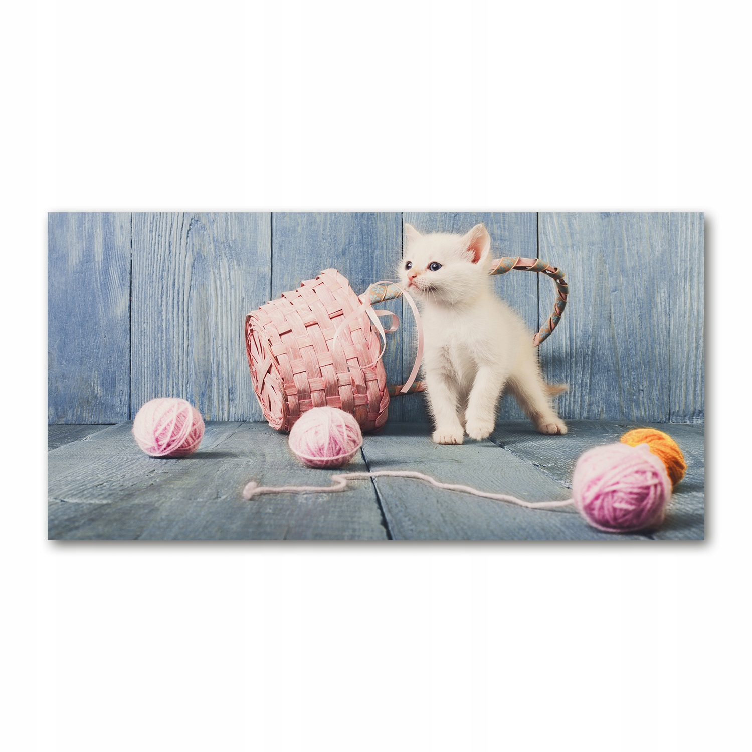 

Foto obraz akrylowy Biały kot i motki 140x70 cm