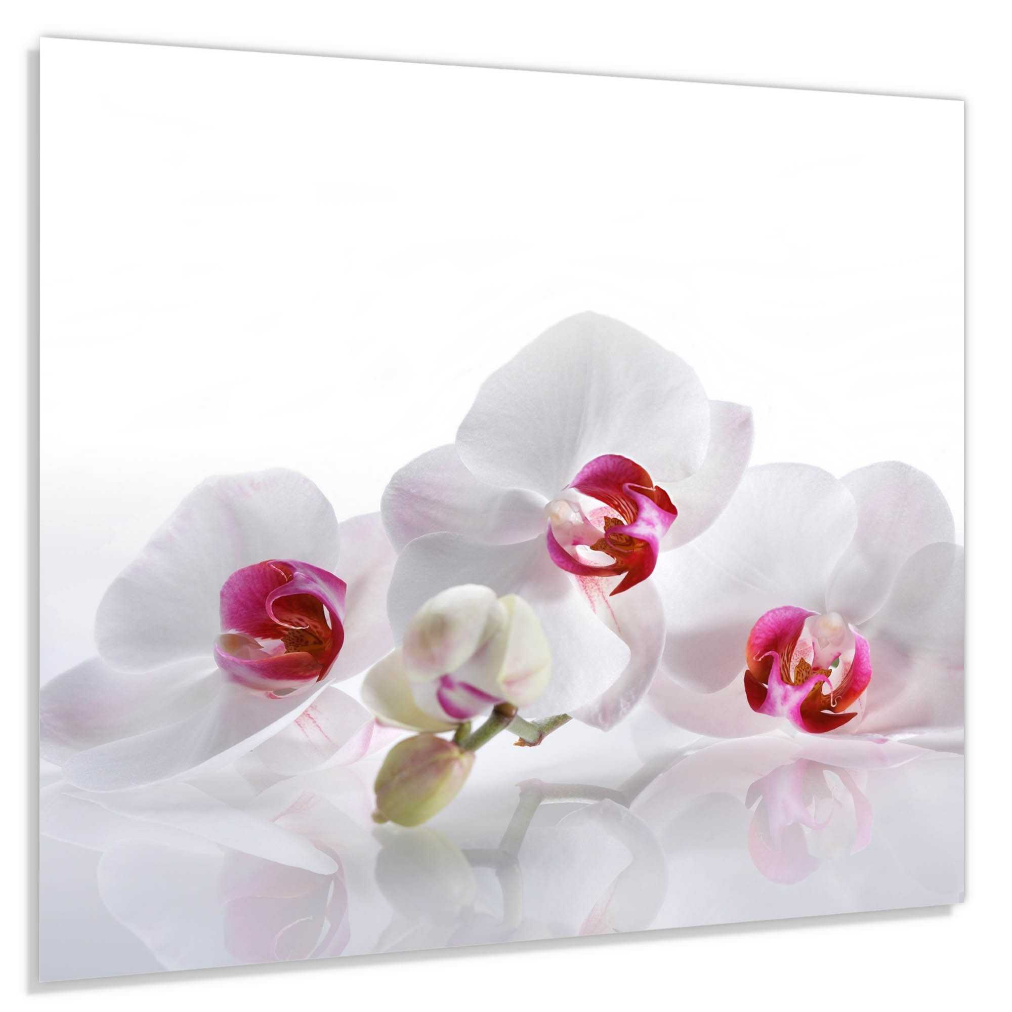 Szkło hart 65x60 Białe storczyki na białym tle