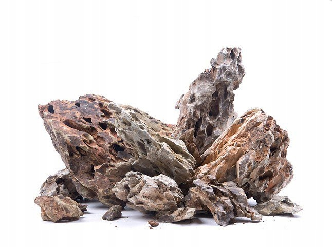Dragon stone L (2-4 kg)