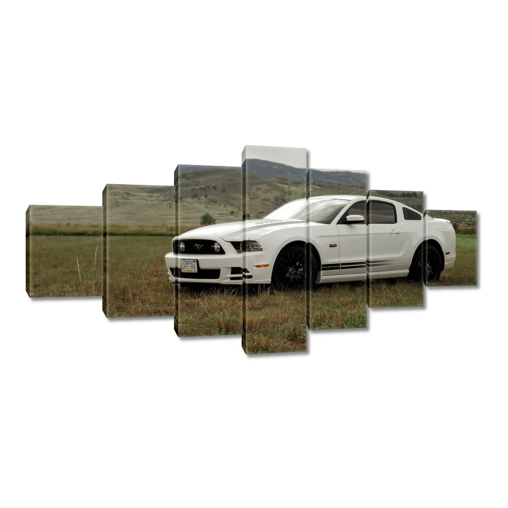 

Obrazy 210x100 Biały Ford Mustang