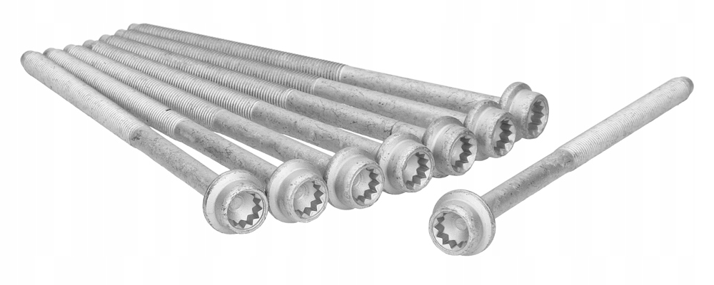 81036000 - Болты головки для VW FOX 10-