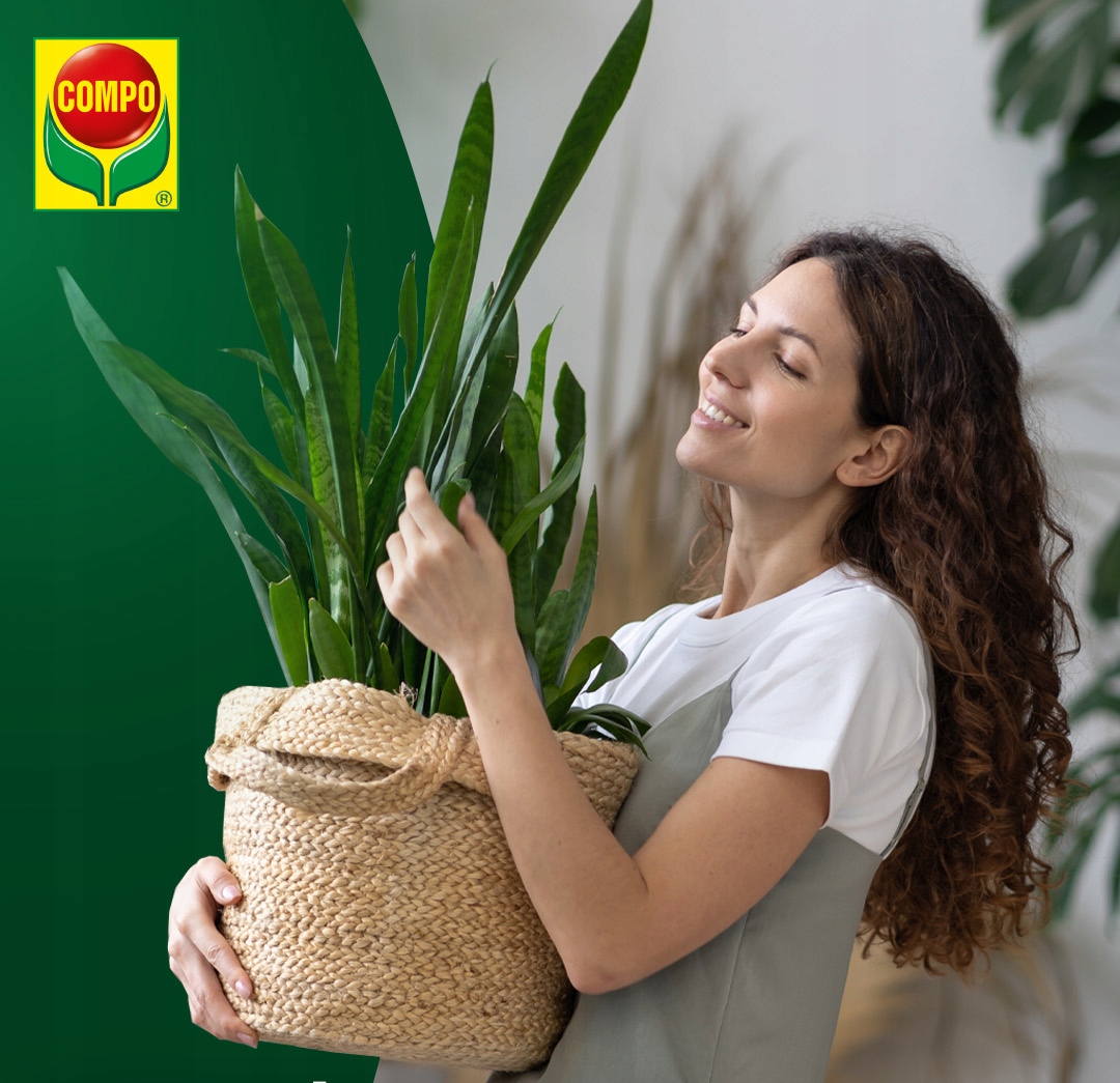 ZIEMIA do roślin ZIELONYCH palm monstera COMPO 20L Rodzaj ziemia uniwersalna