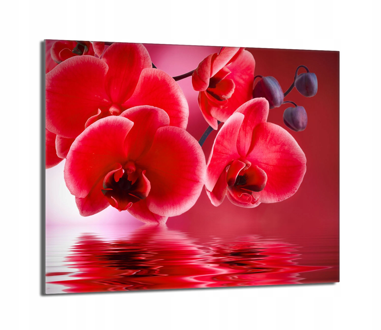 Skleněná ochranná deska na sporák 60x52 Orchidej Do Kuchyně