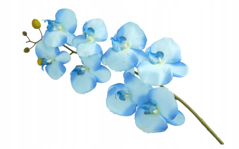 

Storczyk Sztuczny Gałązka Jak Żywy