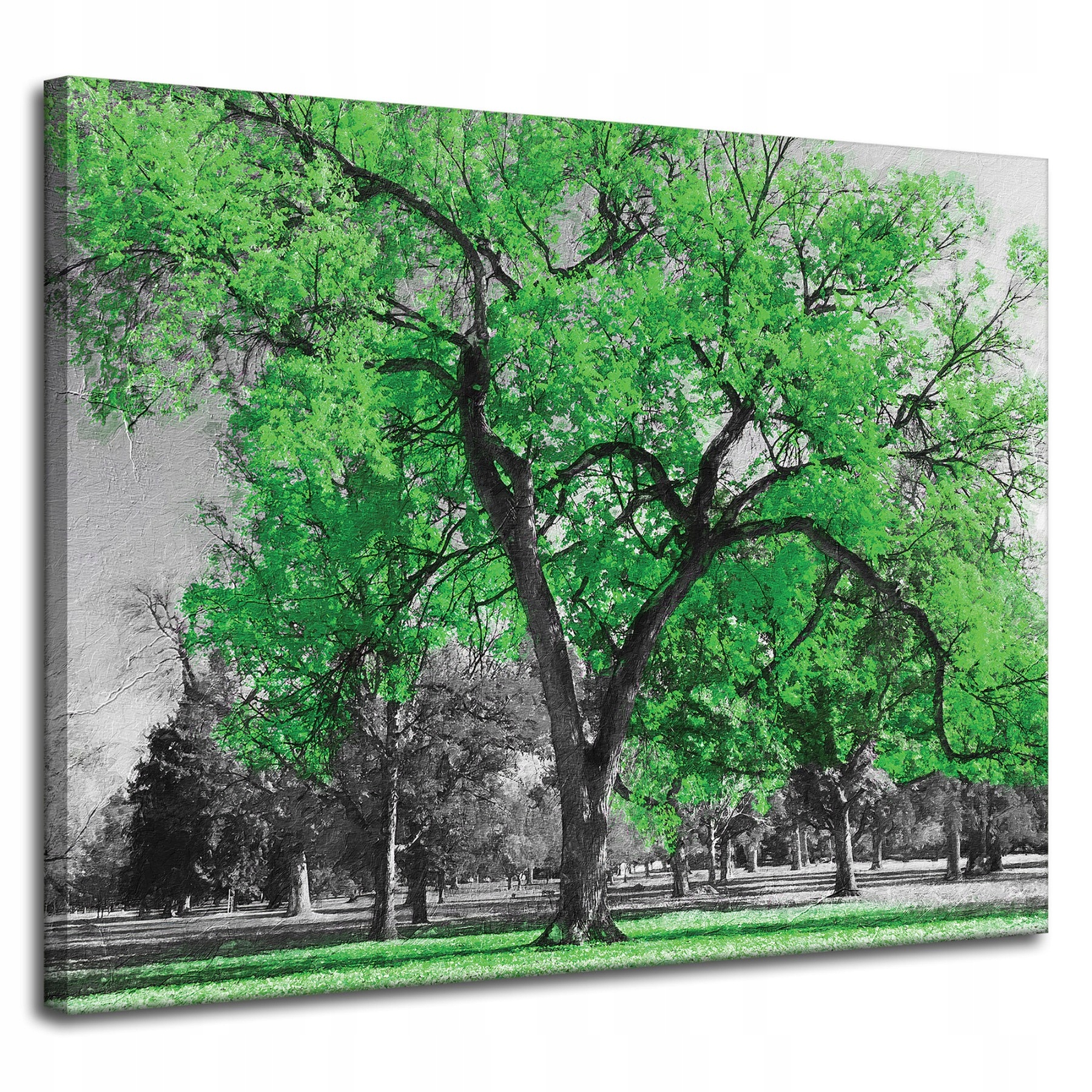 Obraz na plátně Černé Stromy Zelené Listy Umění 100x80 cm