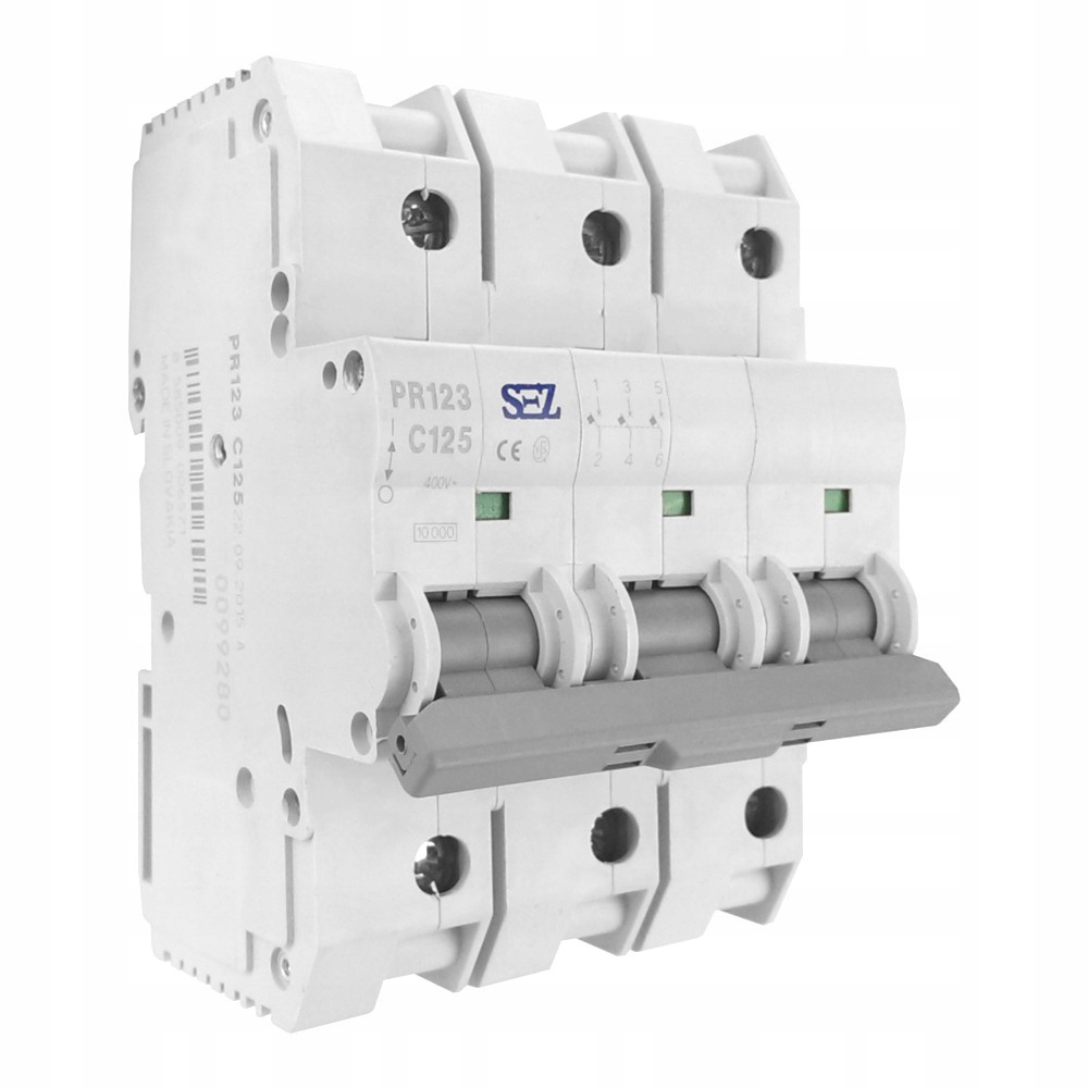 C125A 3P 10kA Nadproudový jistič eska PR123 Sez 6571