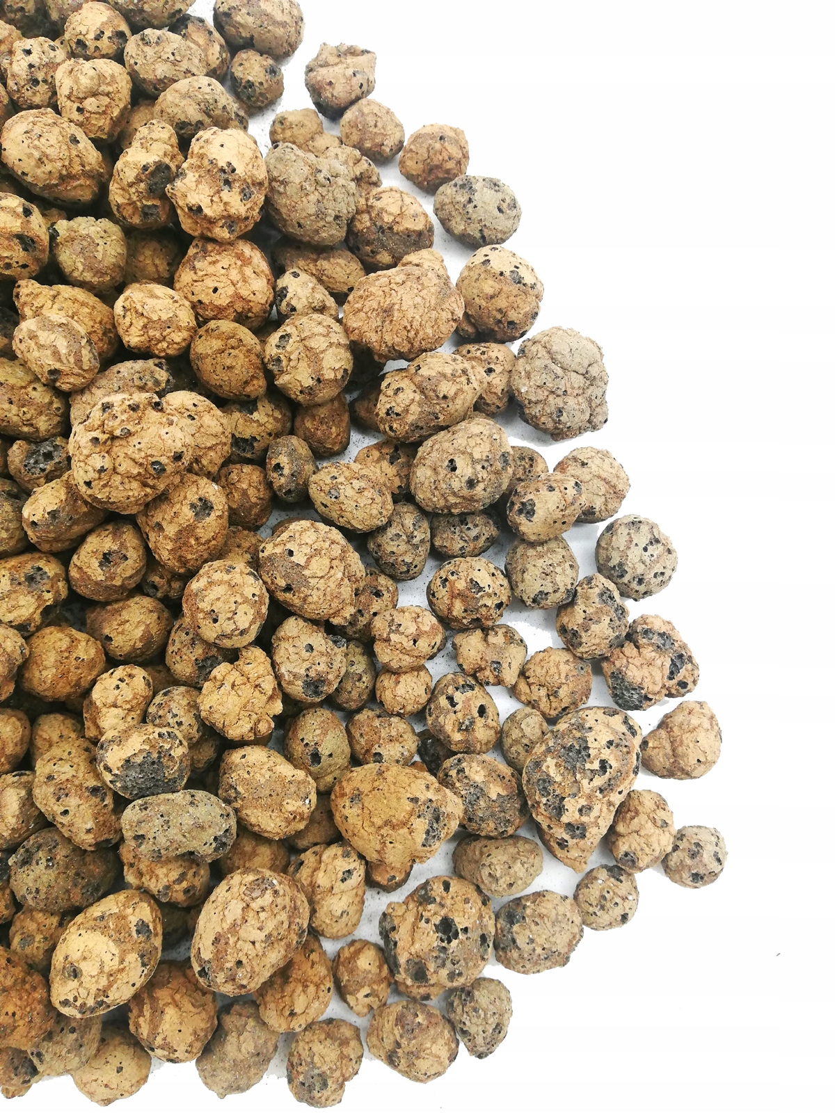 Keramzyt 8-16 mm Drenaż i dodatek do podłoża 5 L Marka Biovita