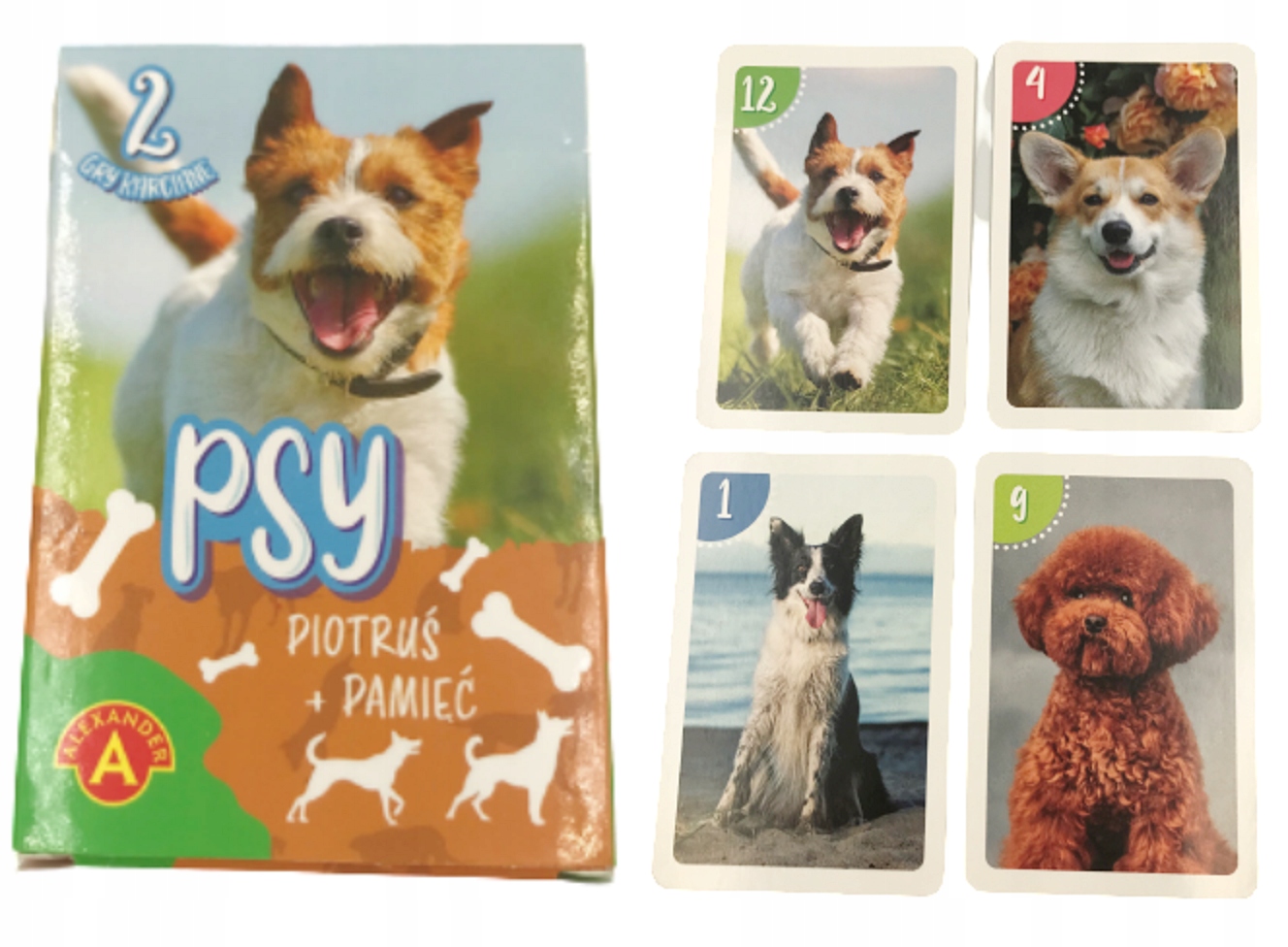 ALEXANDER KARTY PIOTRUŚ - PAMIĘĆ PSY 2 GRY KARCIANE