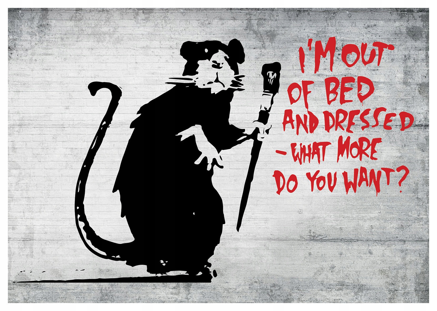 Fototapeta Krysa v županu s kartáčkem 368x254, vtipné ráno lepidlo