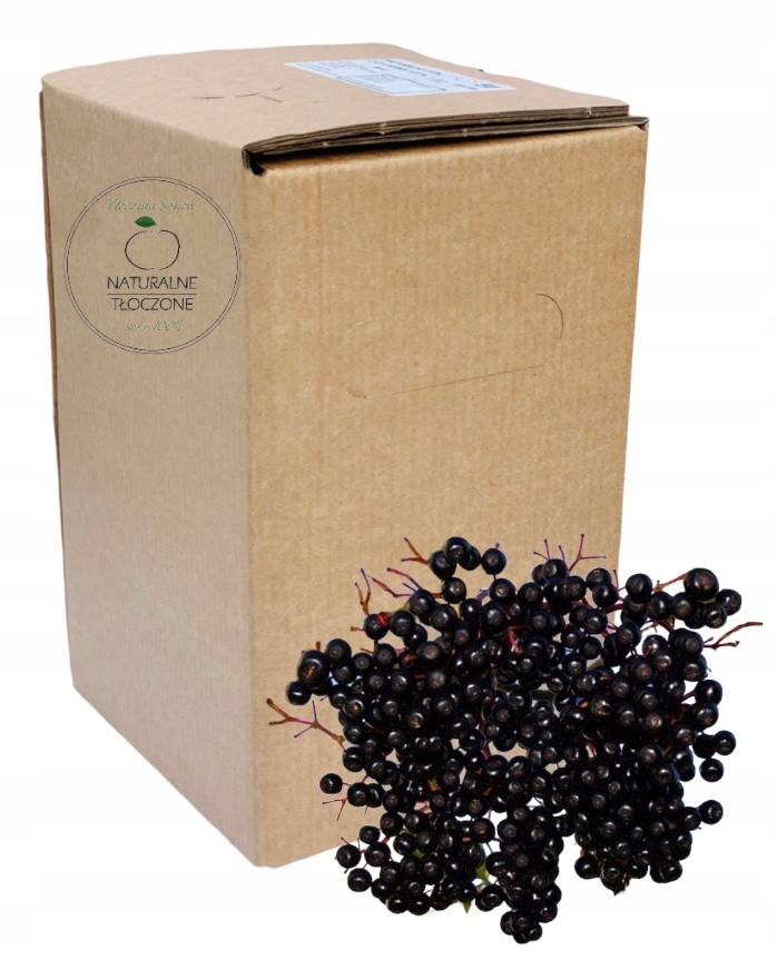Sok z czarnego bzu 100% 5l (w Kartonie)- naturalny