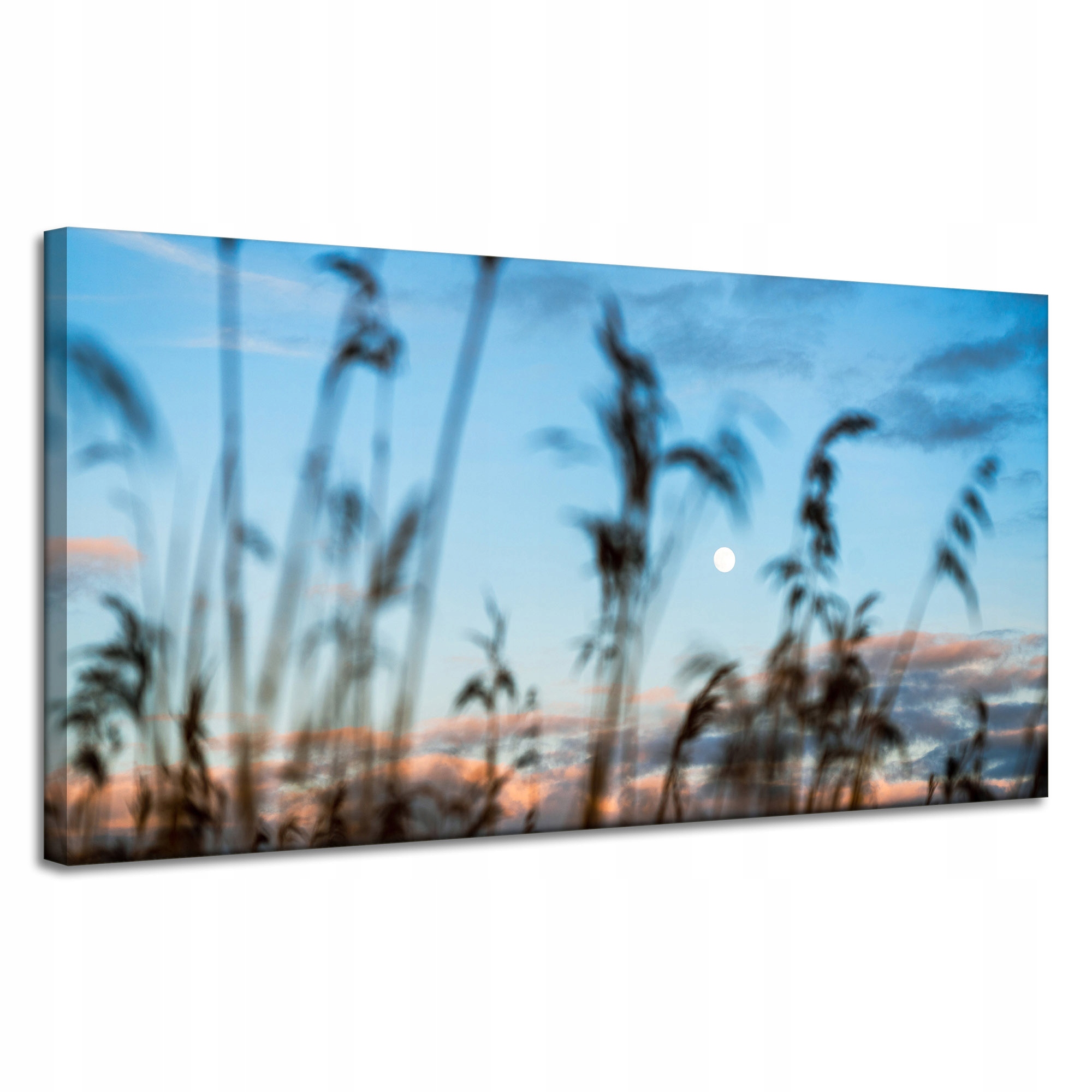 Obraz na plátně Příroda Polana Louka Východ Slunce 120x60